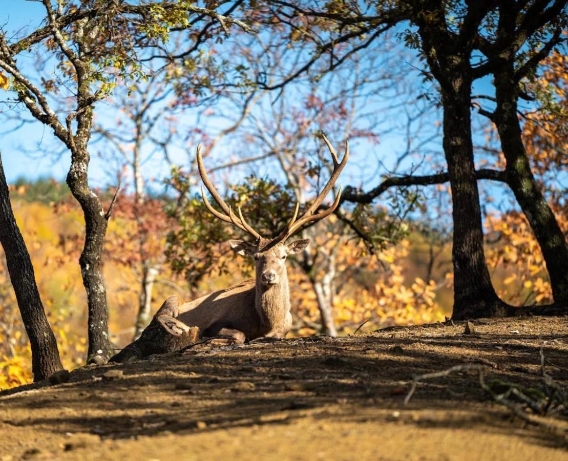 Bourazani Wild Life Resort 코니차 외부 사진