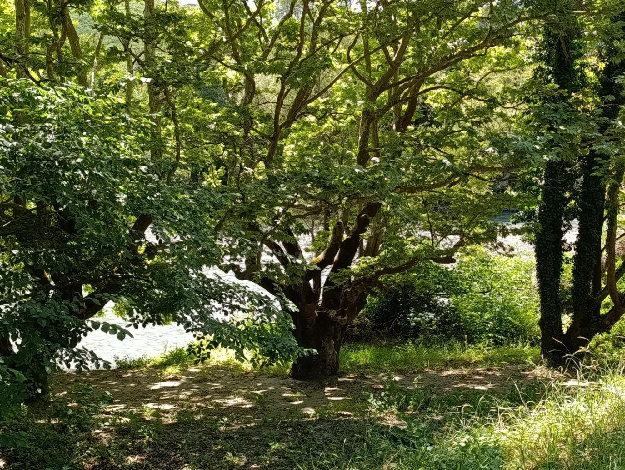 Bourazani Wild Life Resort 코니차 외부 사진