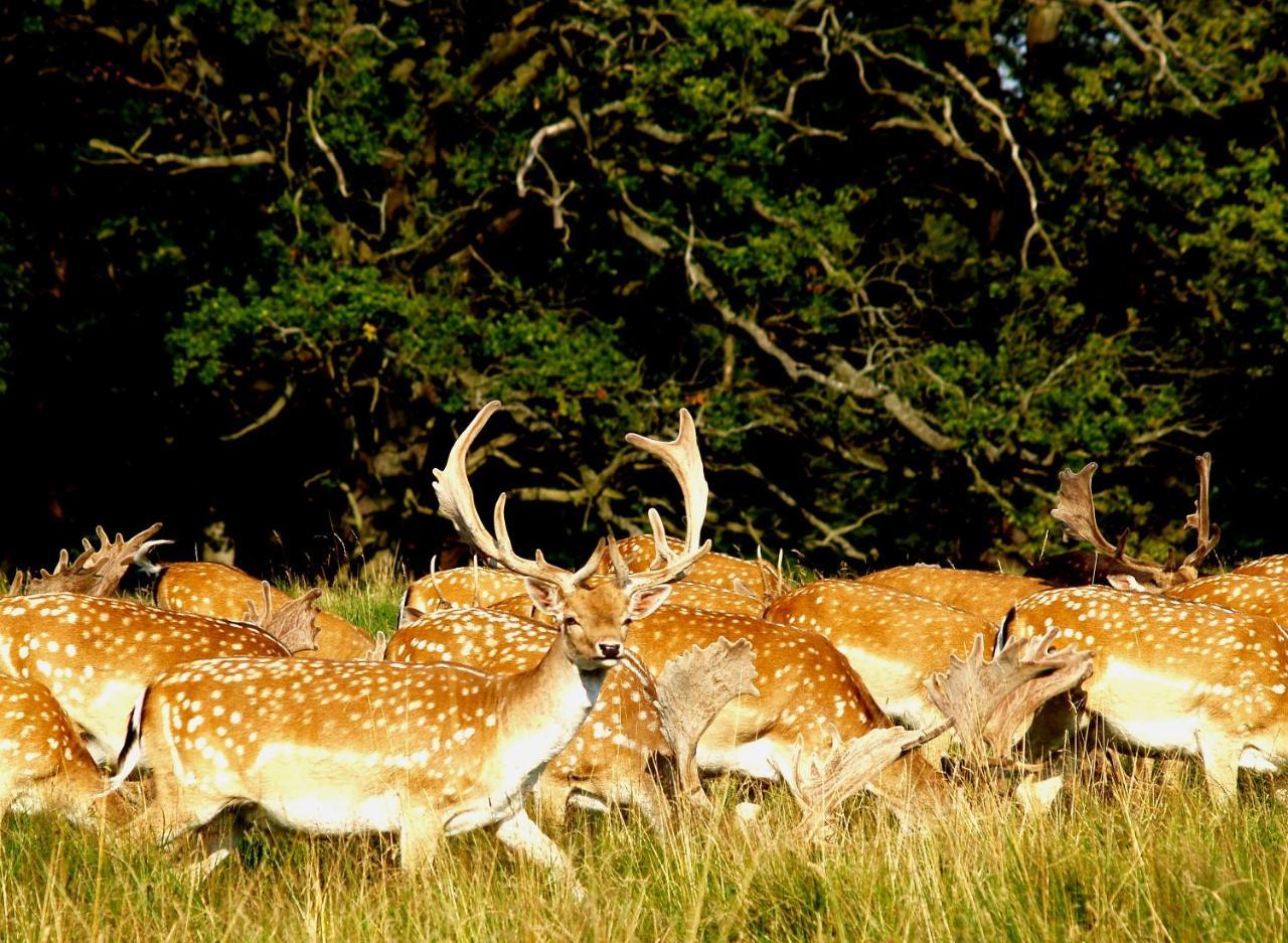 Bourazani Wild Life Resort 코니차 외부 사진